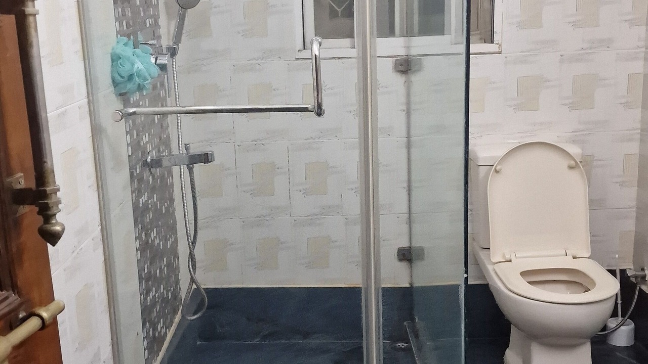 Photo of Bathroom in Raja Bazar