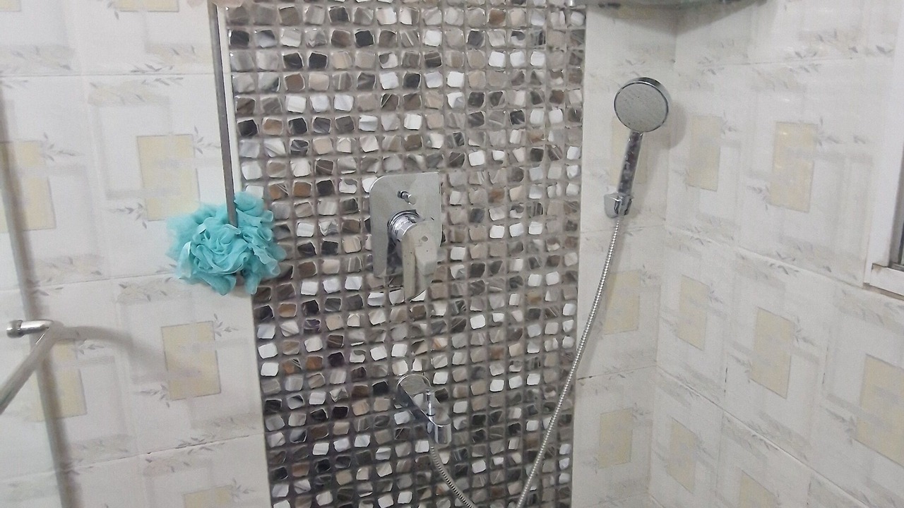 Photo of Bathroom in Raja Bazar