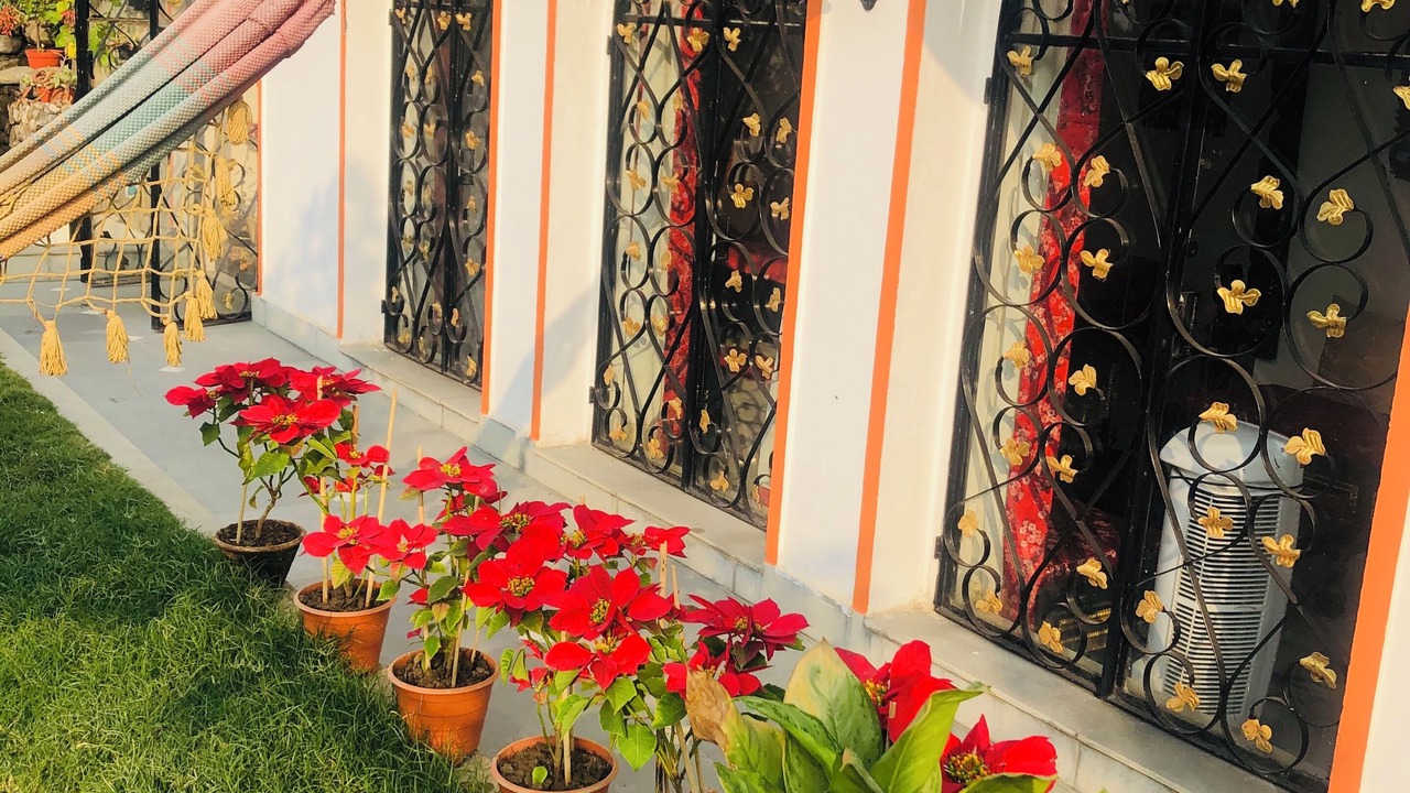 Photo of Outdoor in Ballygunge