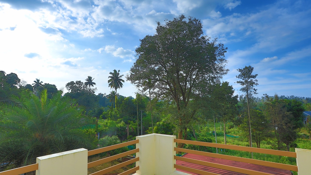 Photo of Outdoor in Kottappadi part