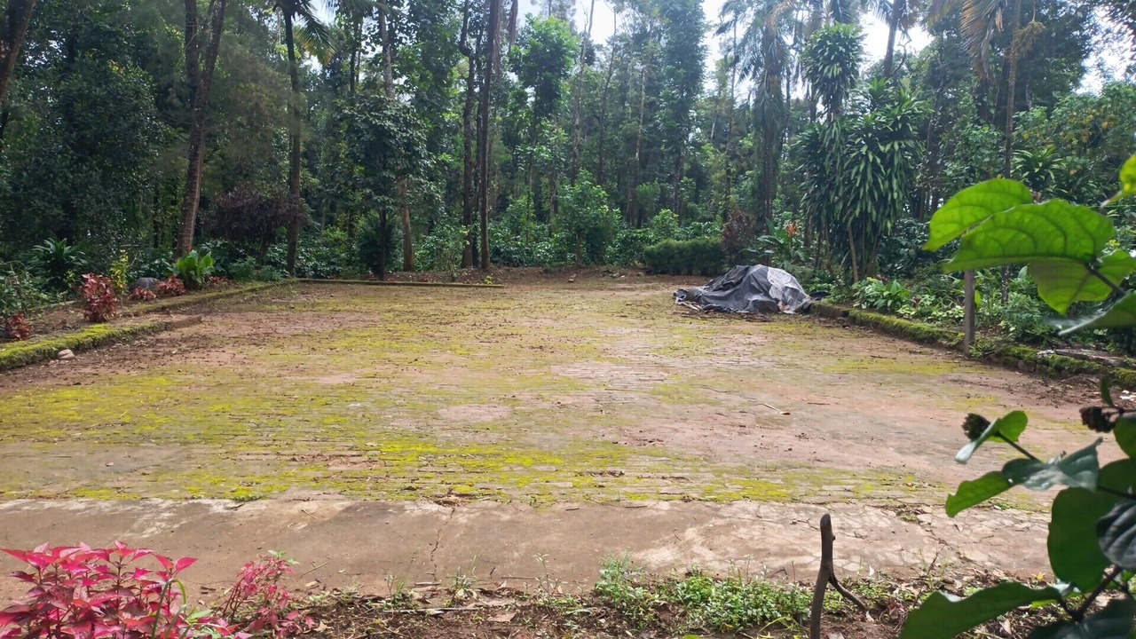 Photo of Outdoor in Sakleshpur