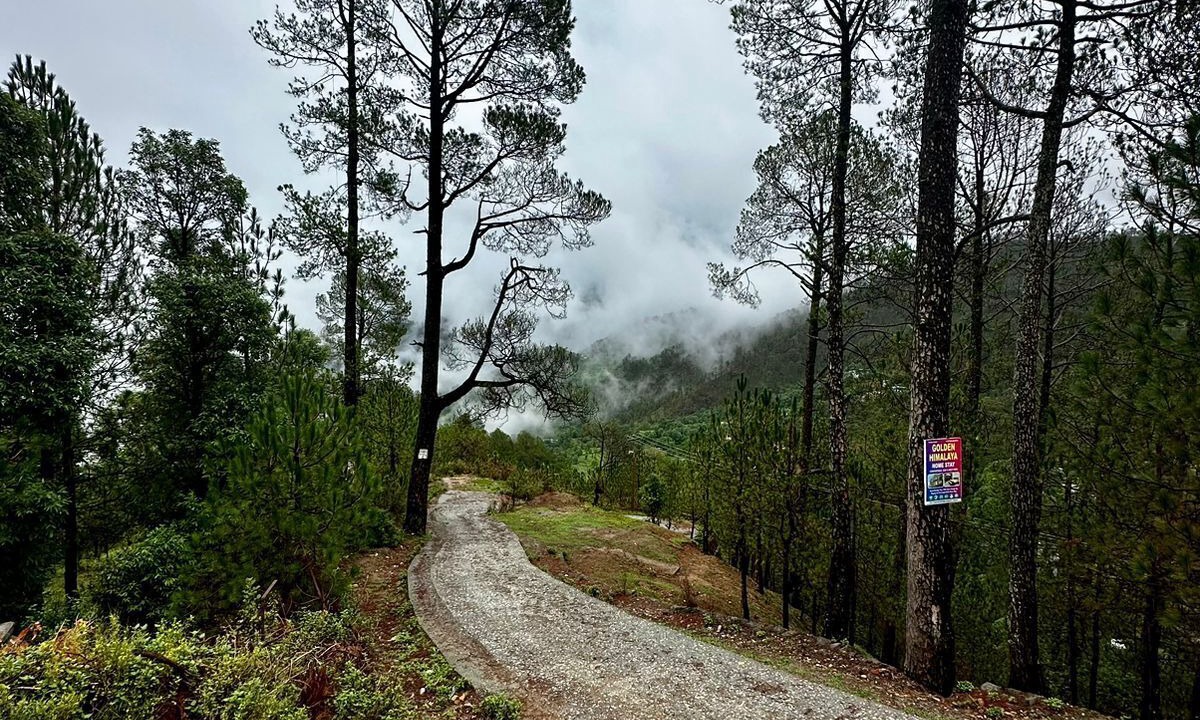 Photo of Outdoor in Kausani