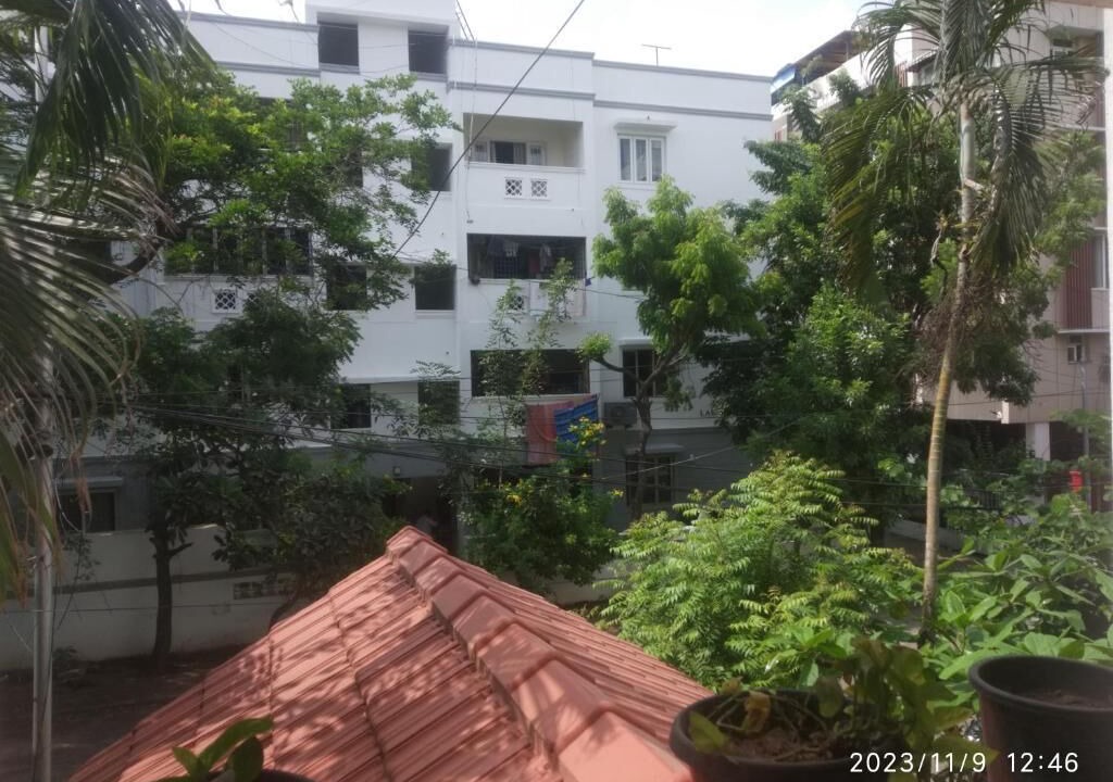 Photo of Outdoor in Mylapore Tiruvallikk