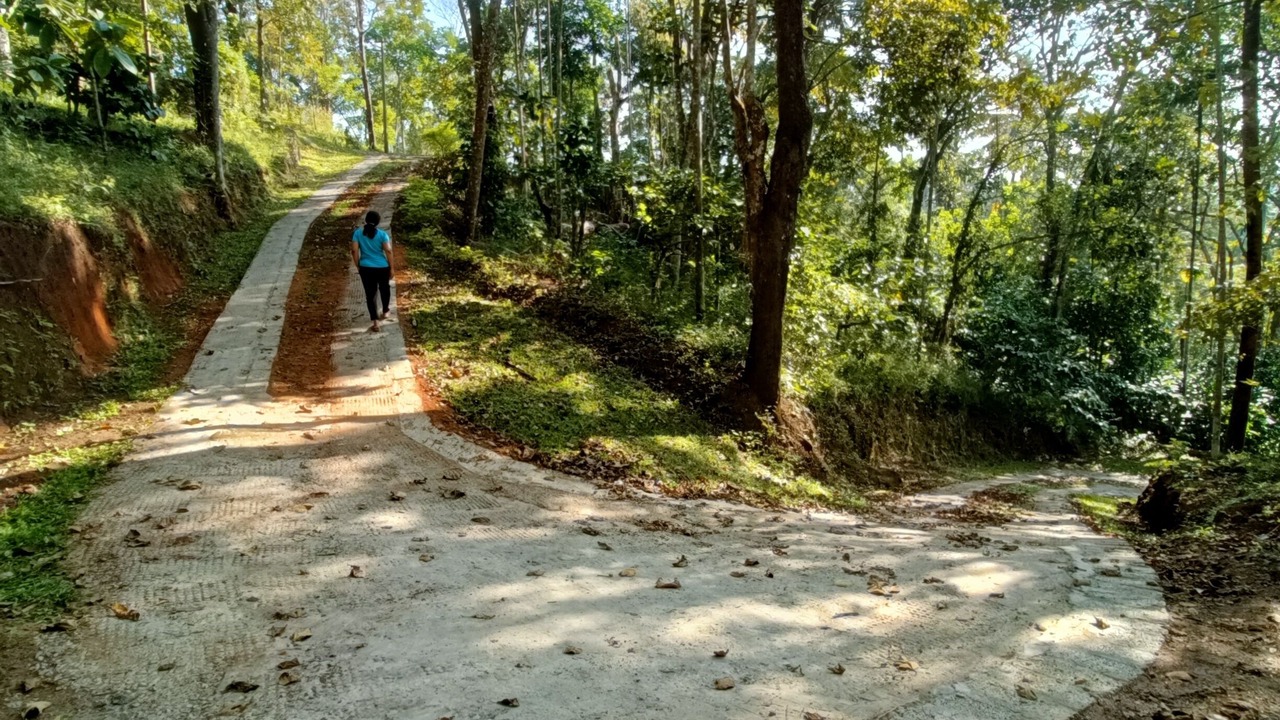 Photo of Outdoor in Udumbanchola