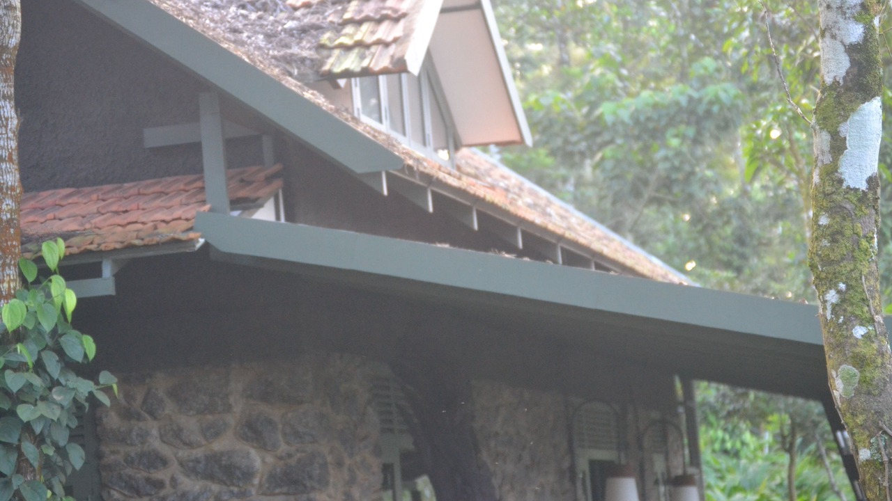 Photo of Outdoor in Udumbanchola