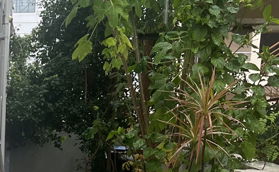 Photo of Outdoor in Pollachi