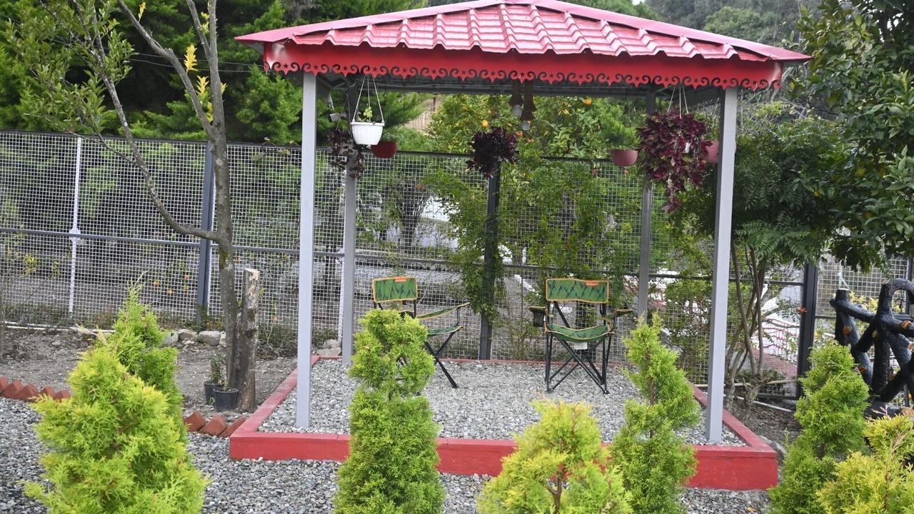 Photo of Outdoor in Kaul