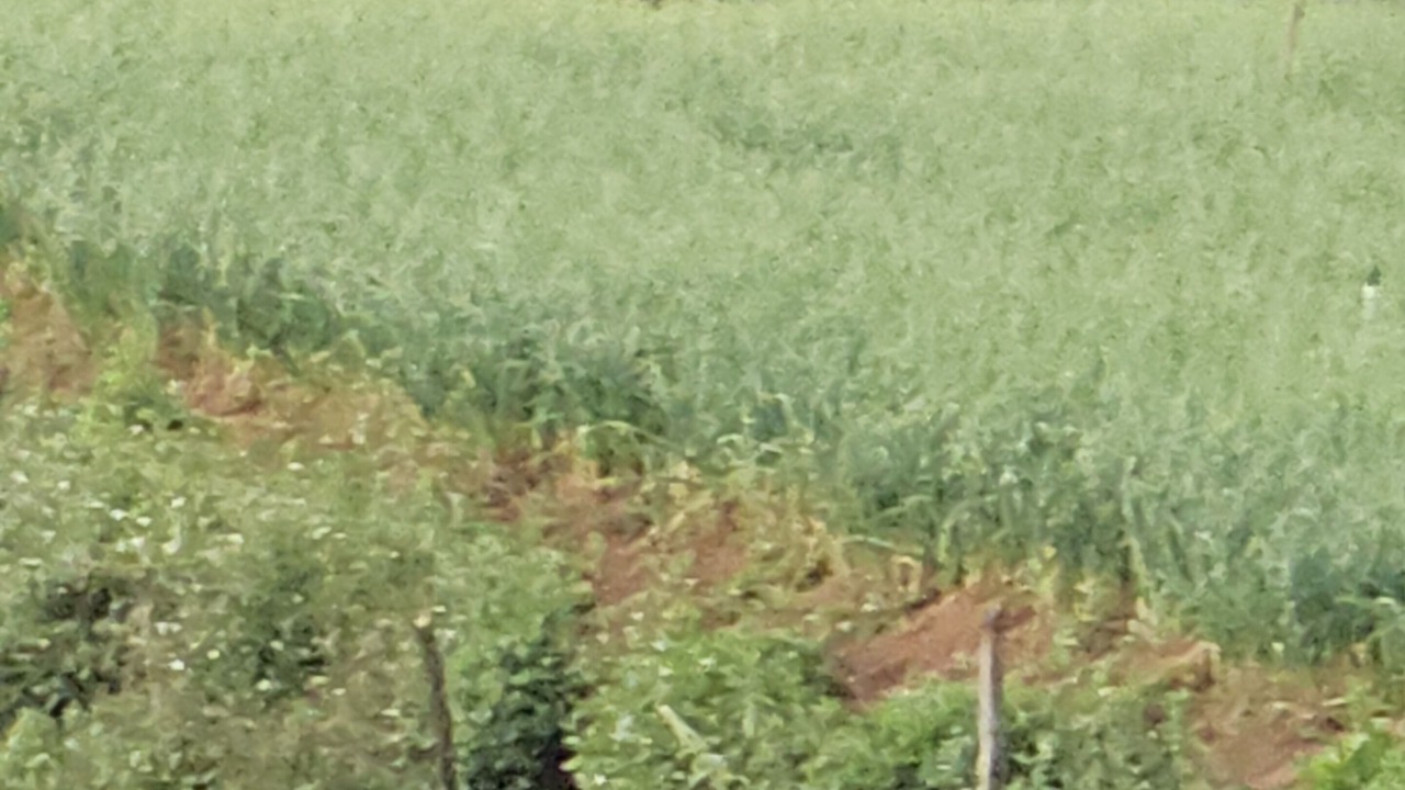 Photo of Outdoor in West Mere