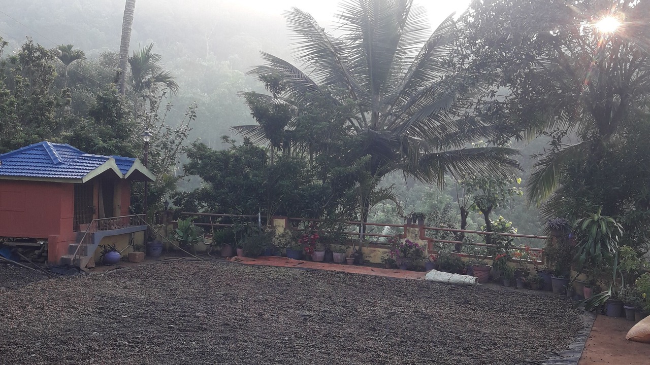 Photo of Outdoor in Virarajendrapet