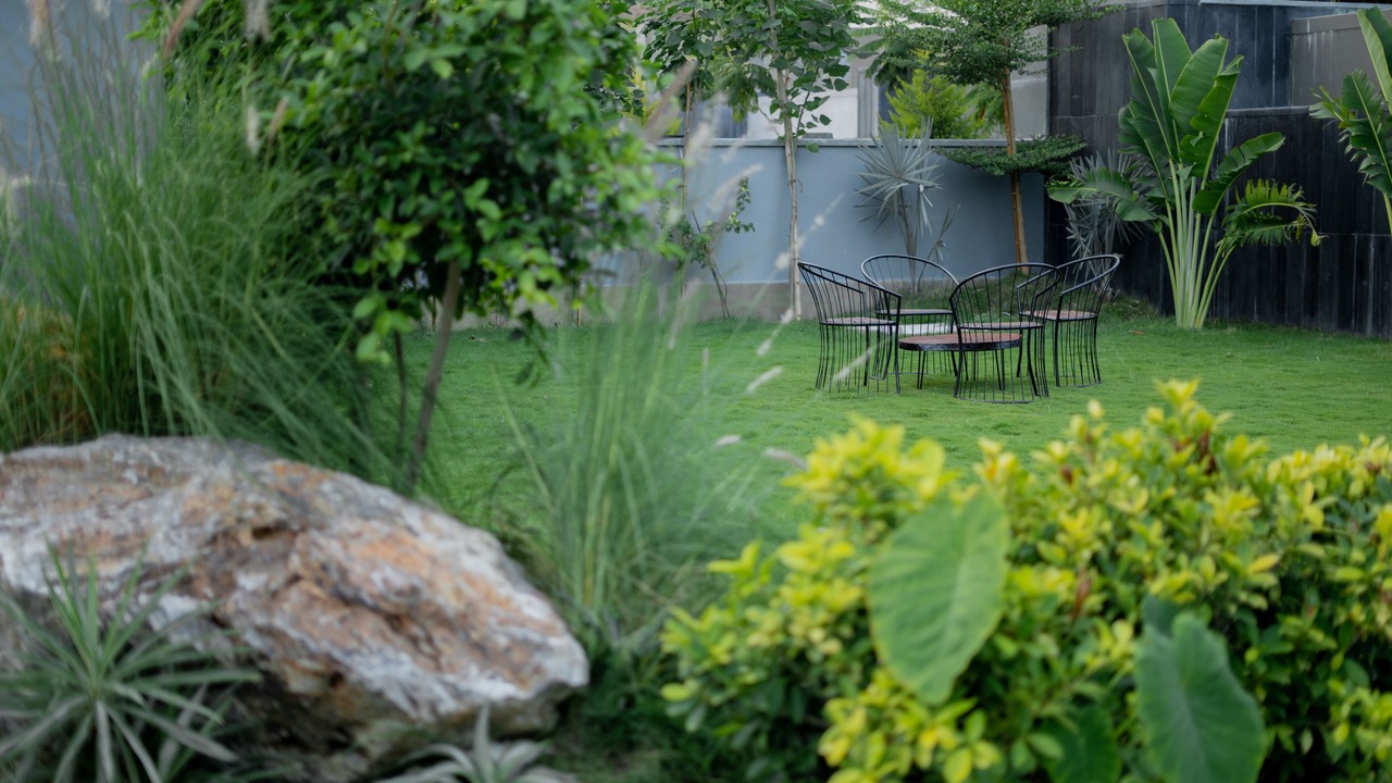 Photo of Outdoor in Bedla