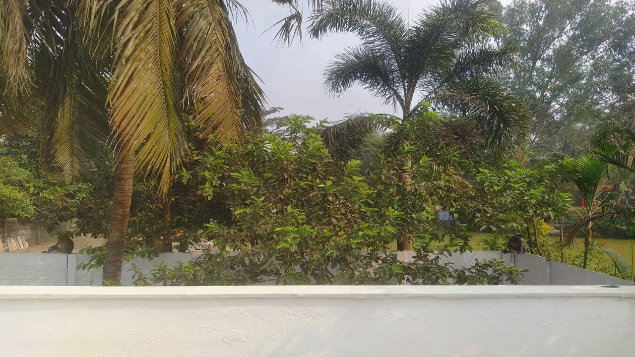 Photo of Others in Thane West