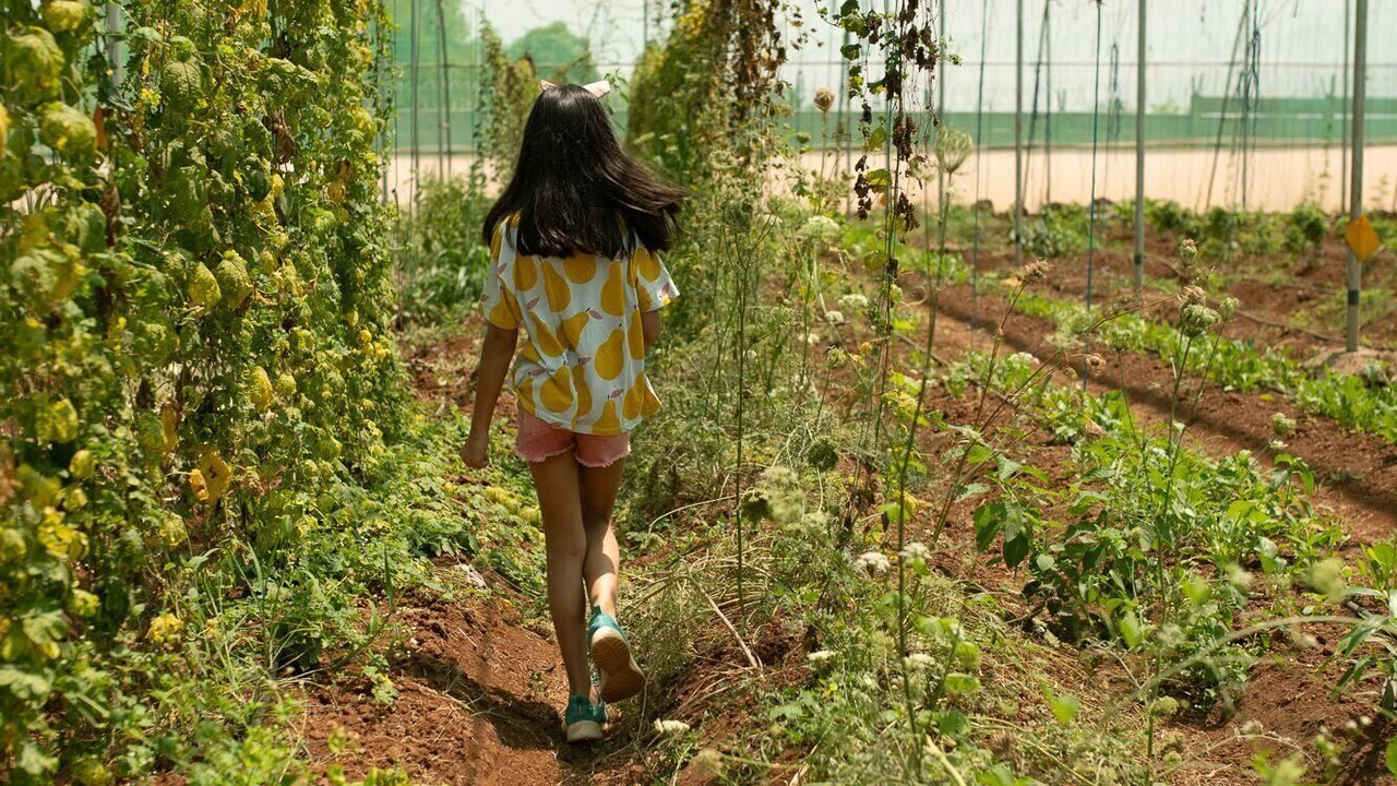Photo of Outdoor in Kalyan