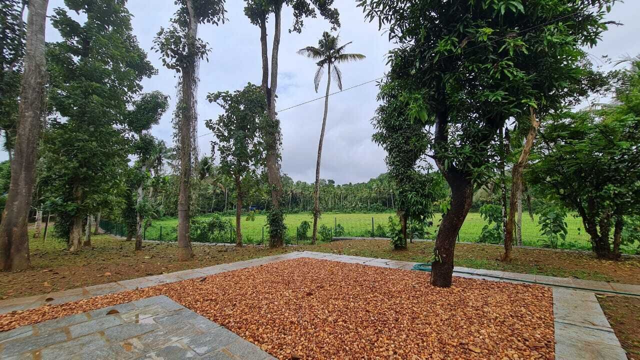 Photo of Outdoor in Kuttattukulam