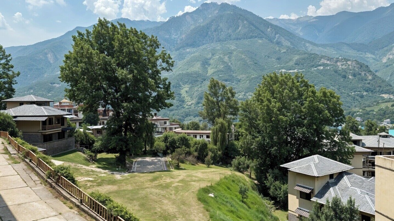 Photo of Outdoor in Mohal