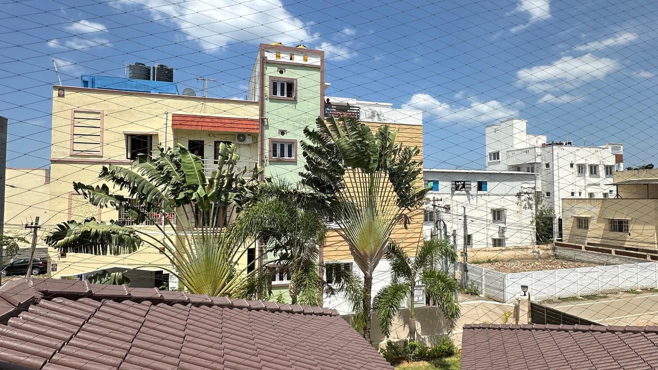 Photo of Others in Sadras
