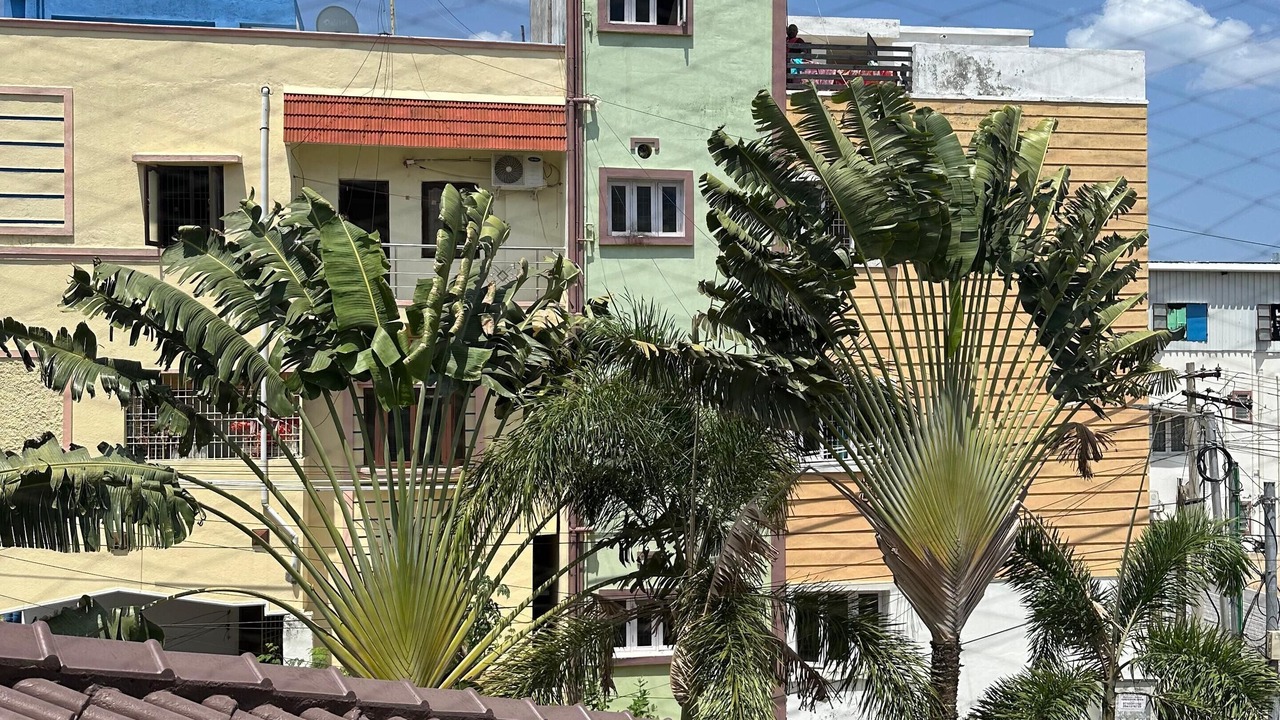 Photo of Outdoor in Sadras