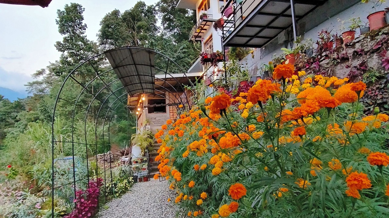 Photo of Outdoor in Gangtok