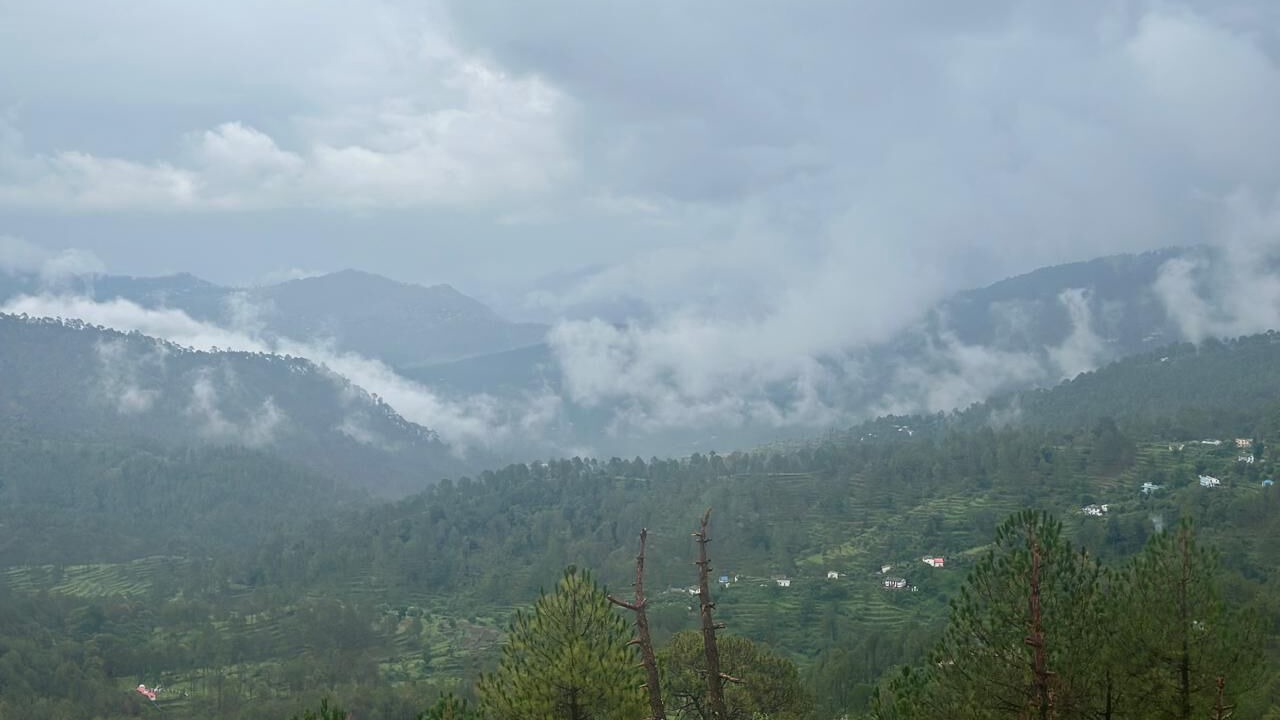 Photo of Others in Almora