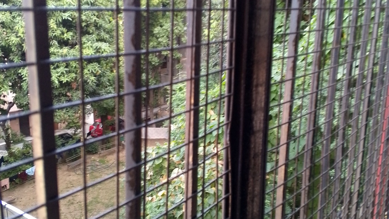 Photo of Others in Tilak Nagar