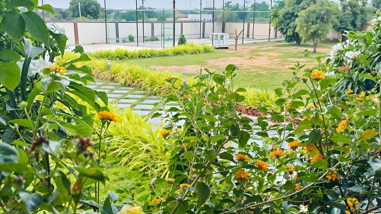 Photo of Outdoor in Chevella