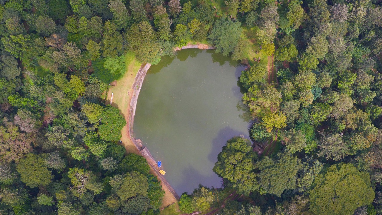 Photo of Outdoor in Yercaud