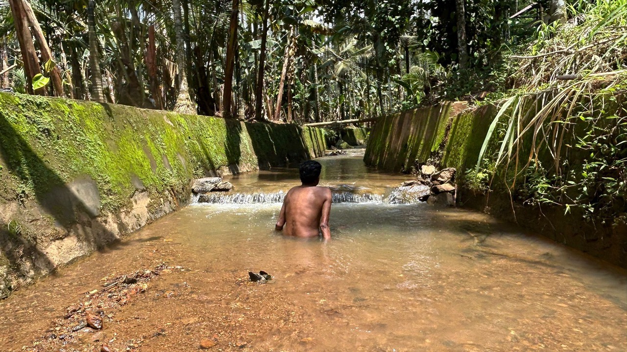 Photo of Others in Mannarkkad