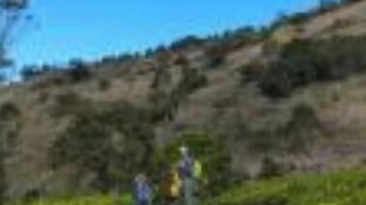 Photo of Others in Kotagiri