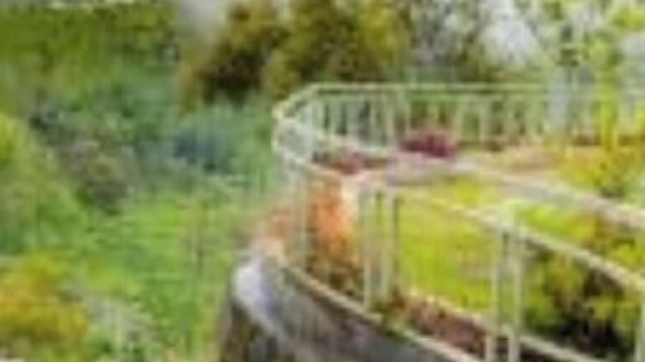 Photo of Others in Kotagiri