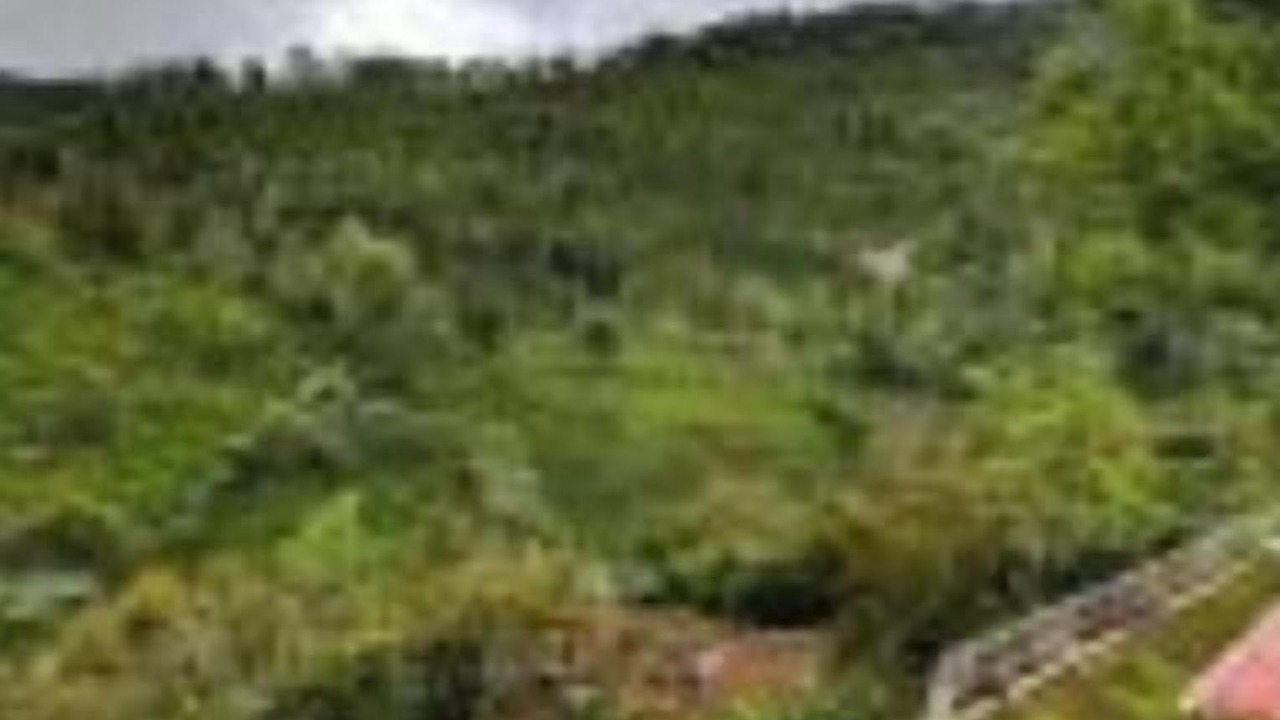 Photo of Others in Kotagiri