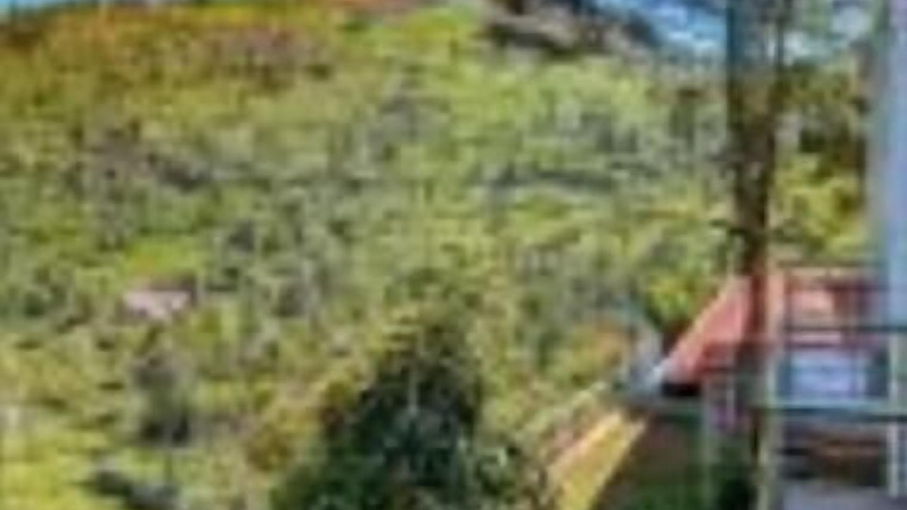 Photo of Outdoor in Kotagiri