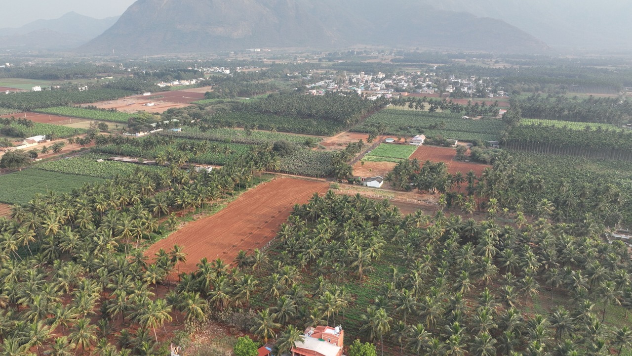 Photo of Outdoor in Coimbatore