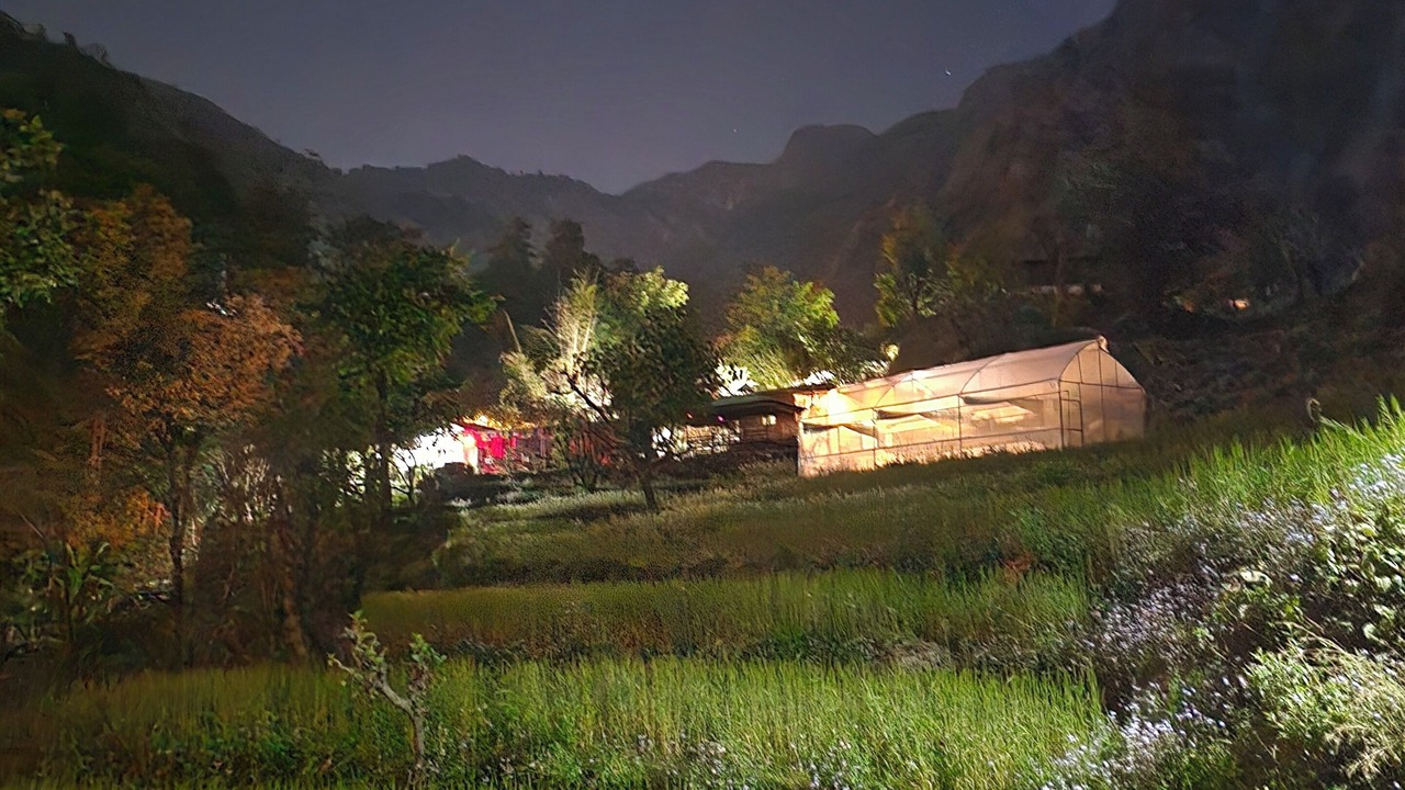 Photo of Others in Tapovan