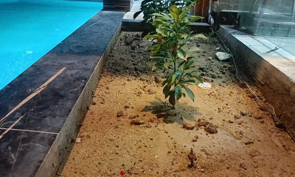 Photo of Outdoor in Chennai