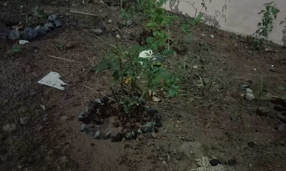 Photo of Outdoor in Chennai