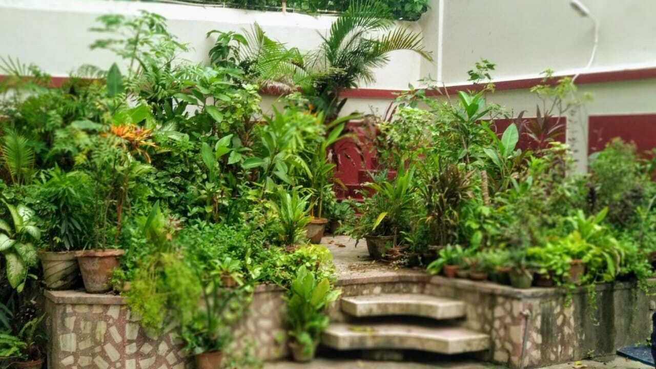 Photo of Outdoor in Bhowanipore
