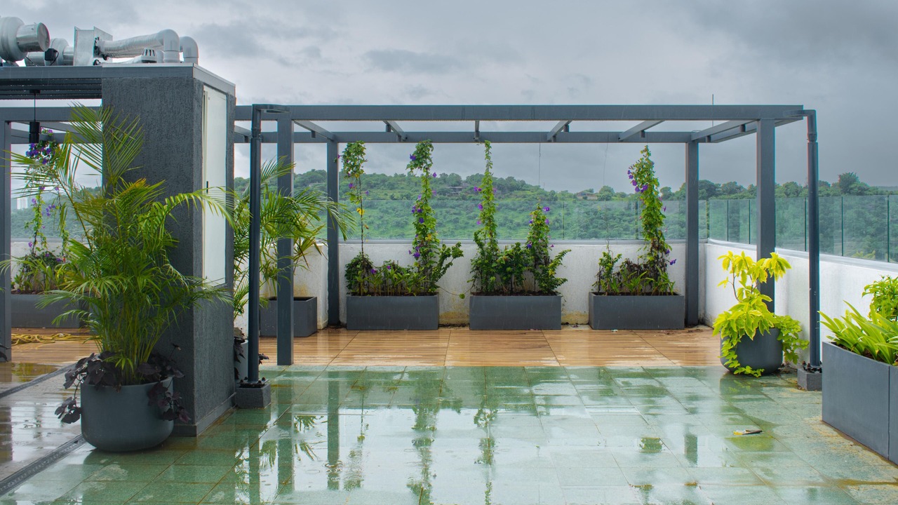 Photo of Outdoor in Pashan