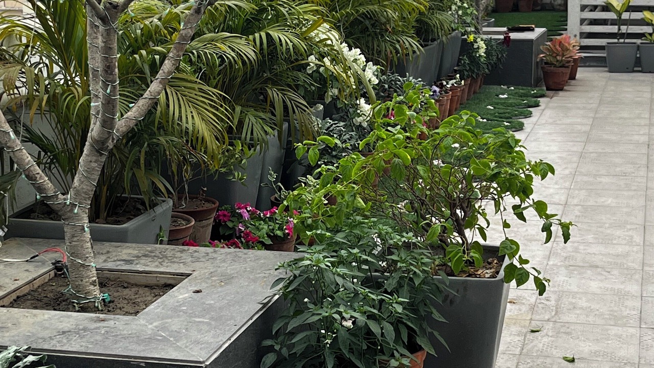Photo of Outdoor in Bhowanipore
