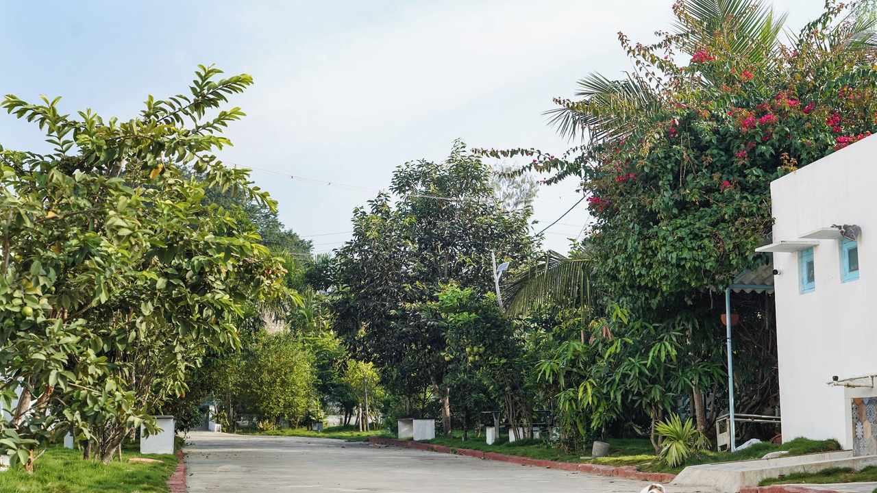 Photo of Outdoor in Malur