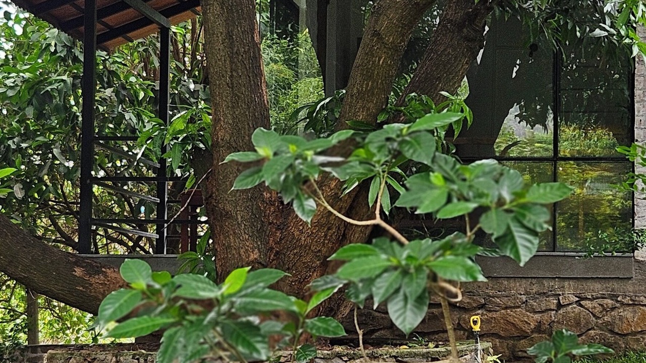 Photo of Outdoor in Pollachi