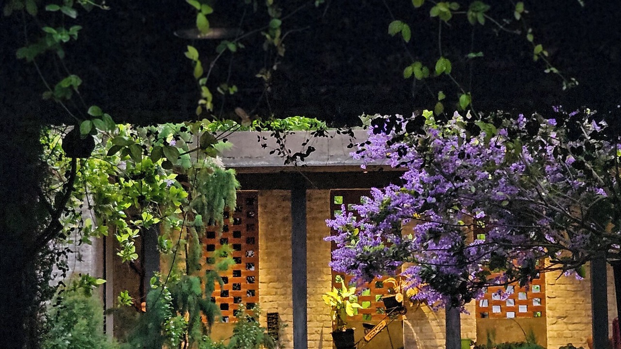 Photo of Outdoor in Pollachi
