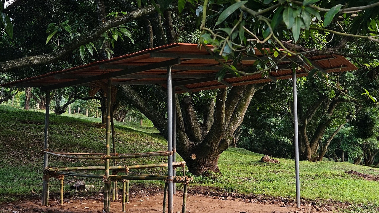 Photo of Outdoor in Pollachi