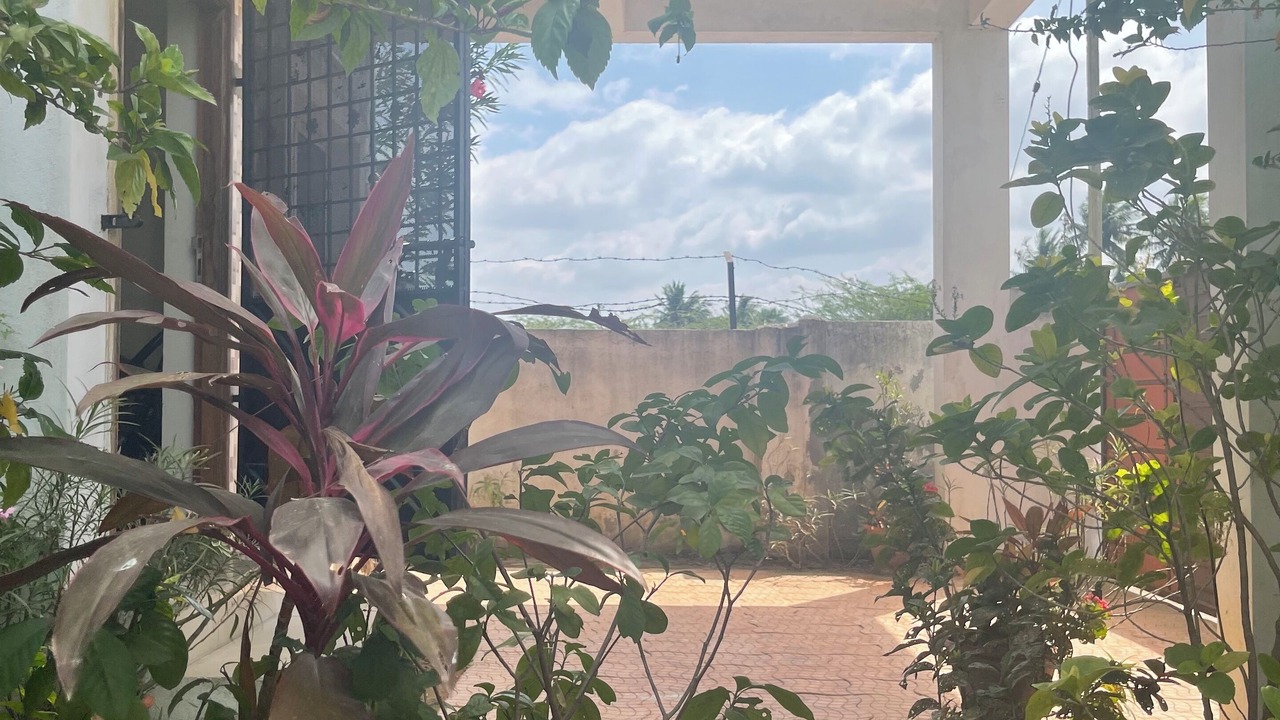 Photo of Outdoor in Chengalpattu
