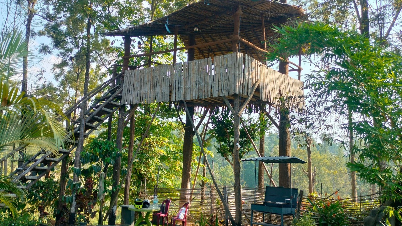Photo of Outdoor in Naduvattam