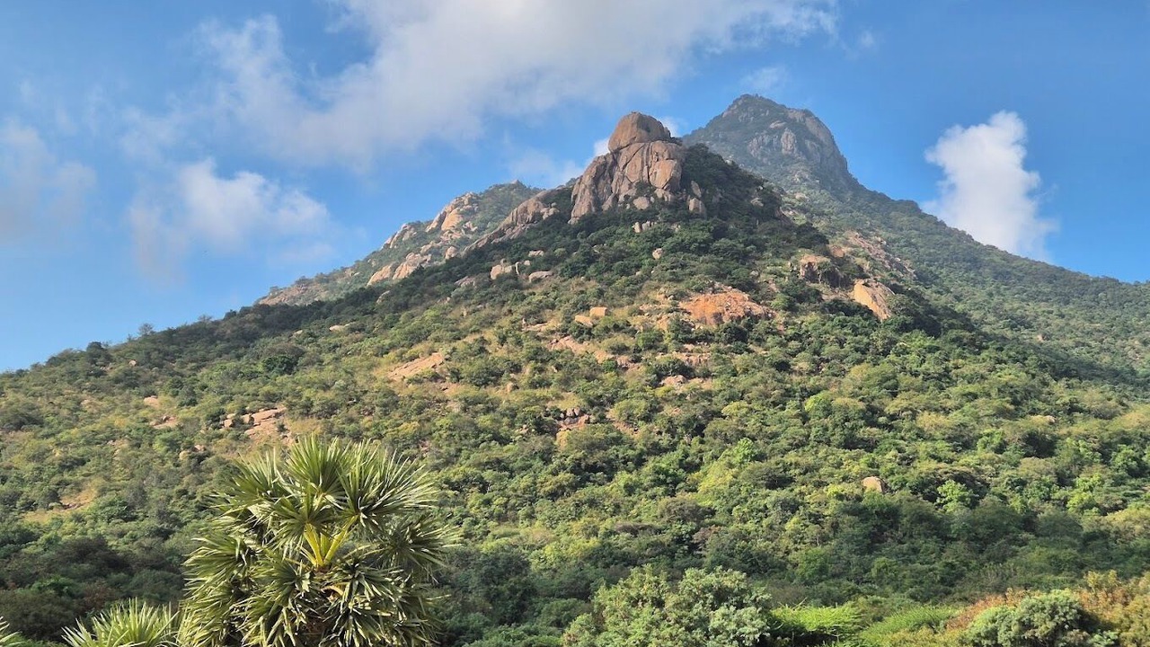 Photo of Others in Tiruvannamalai