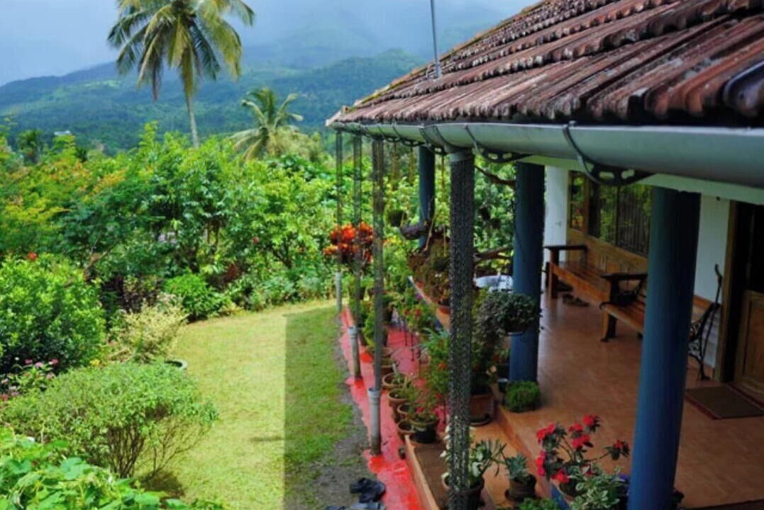 Photo of Outdoor in Kalpetta