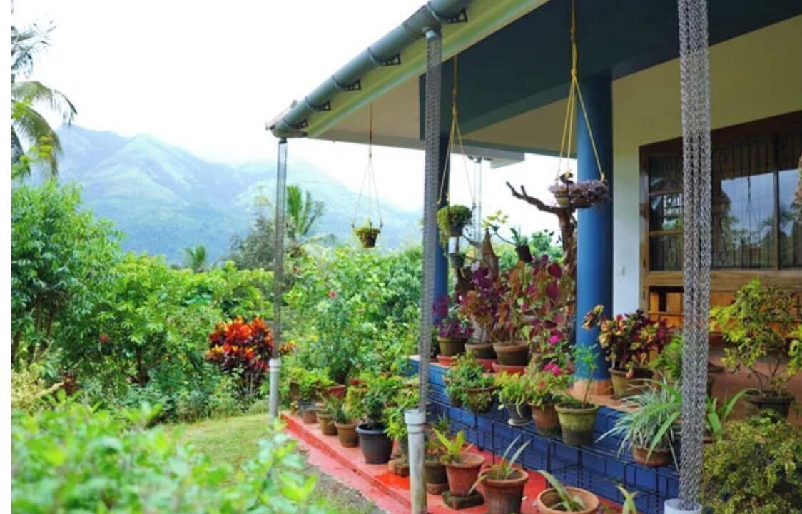 Photo of Outdoor in Kalpetta