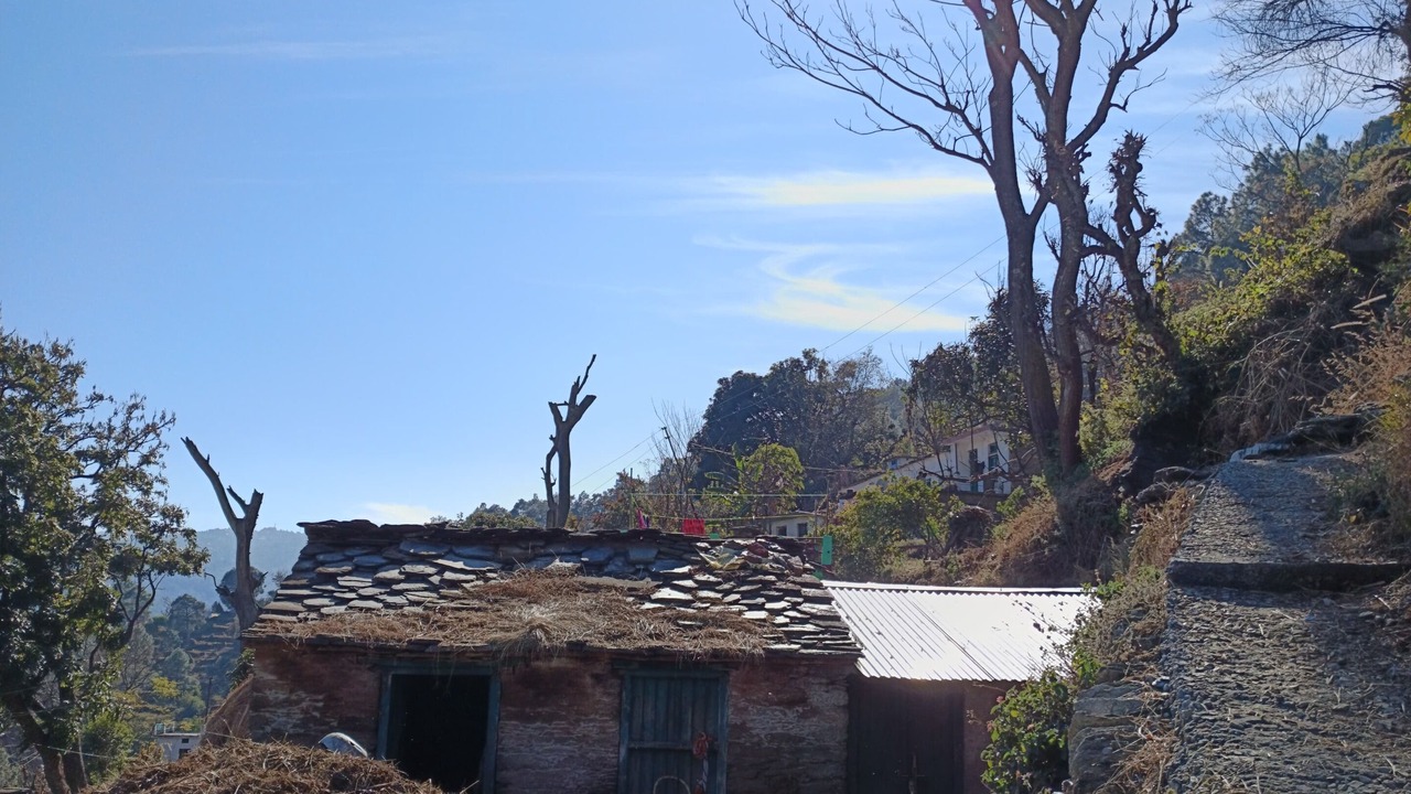 Photo of Others in Majkhali