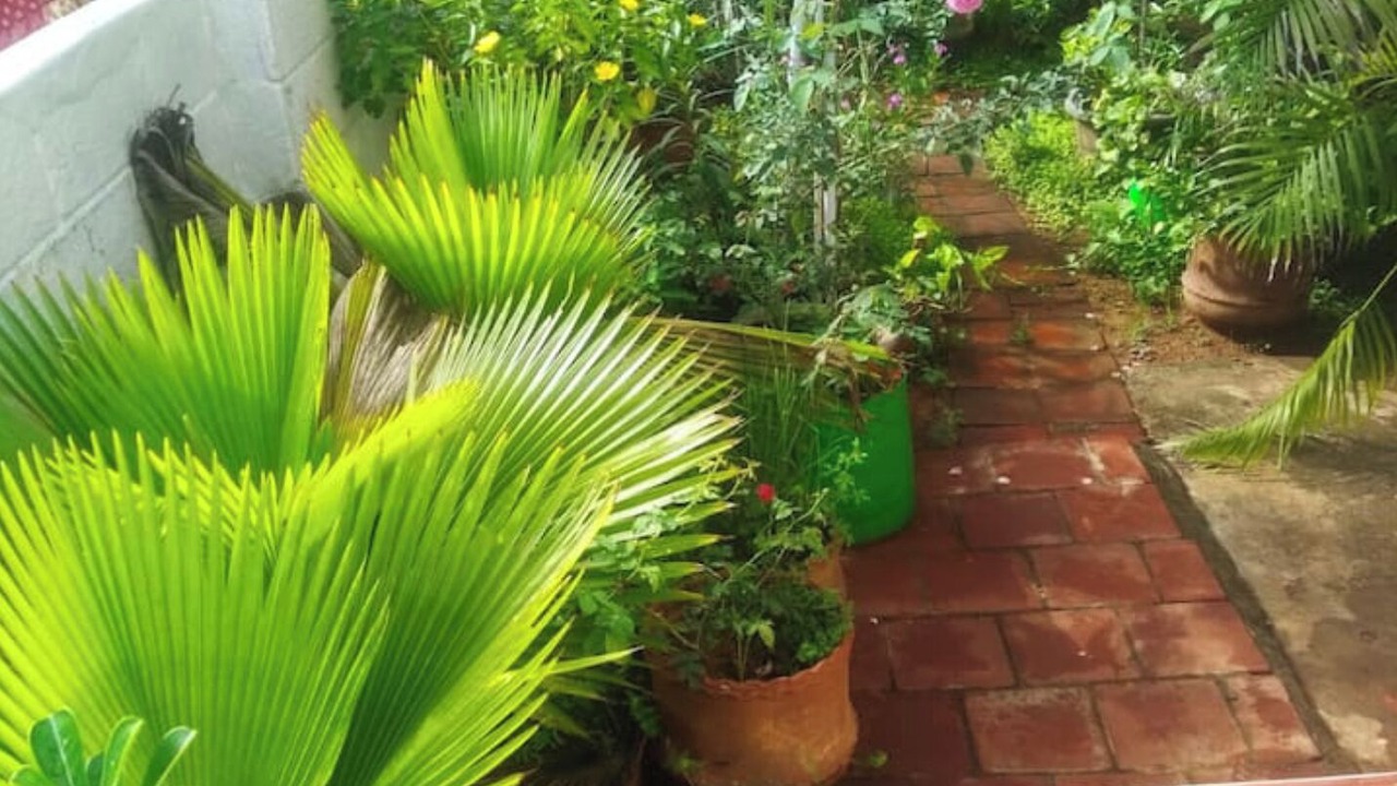 Photo of Outdoor in Palayankottai