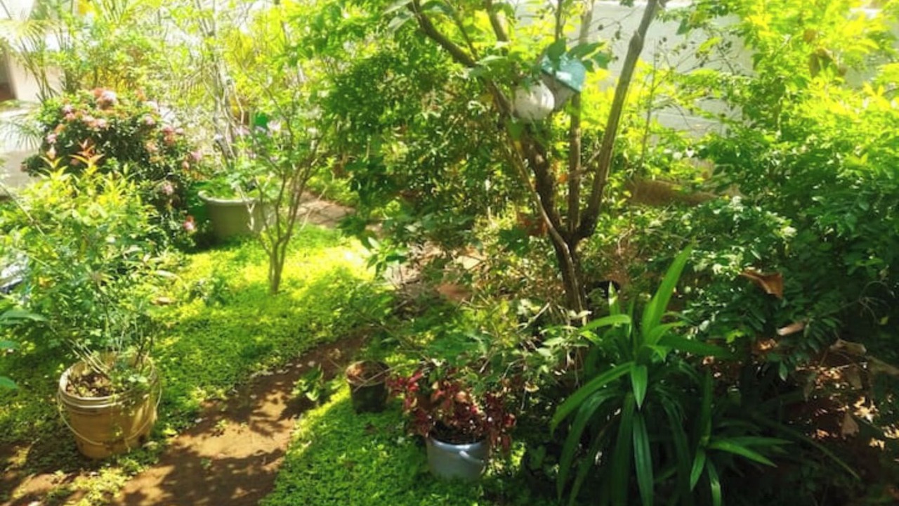 Photo of Outdoor in Palayankottai