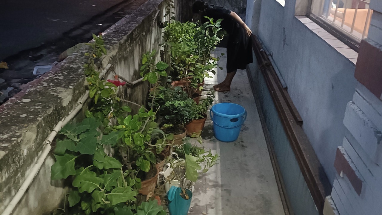 Photo of Outdoor in Sector 1